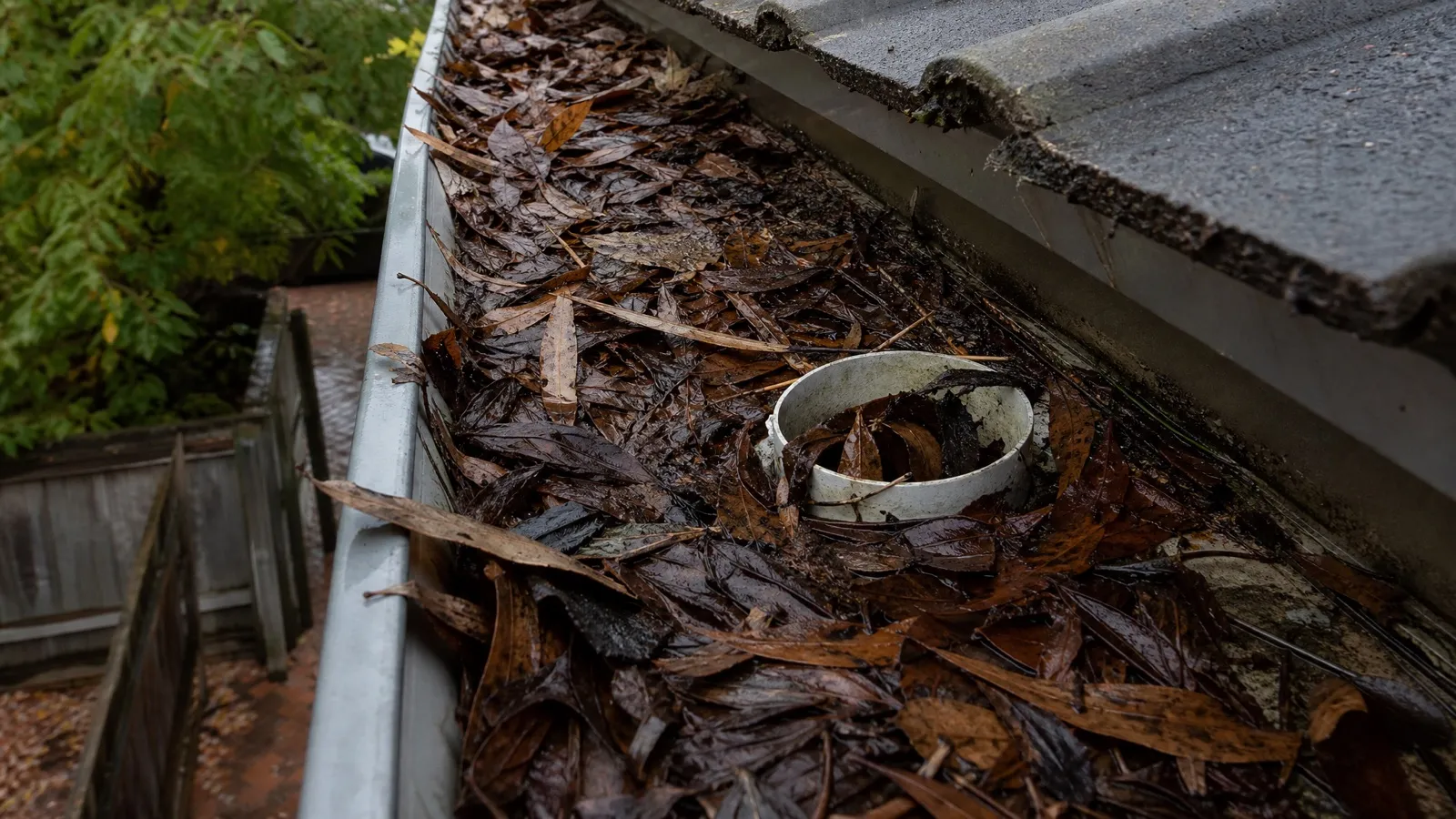 blocked gutter cleaning canberra autumn leaves handyman