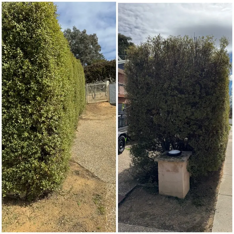 Outdoor & Garden Work